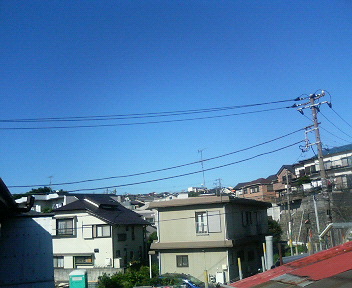 P1030185.JPG